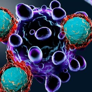 HEMATOPOICTIC